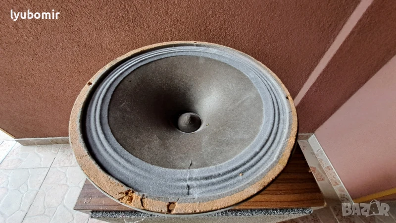 Алнико 10 инча., снимка 1