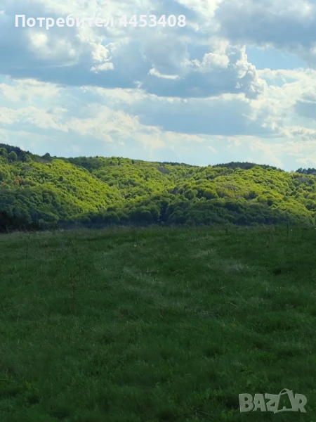 Продава ИМОТИ с.Плана, снимка 1