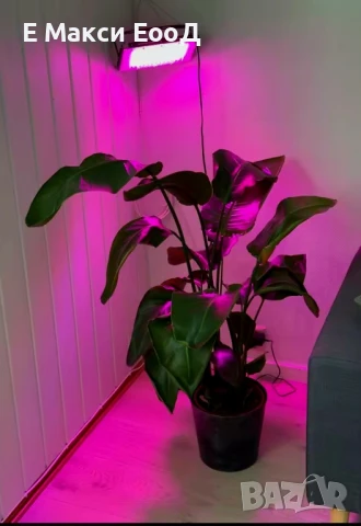 100w,200w,300w Прожектор за бърз растеж,Разсад,Фито лампа,Растения,Лед , снимка 2 - Прожектори - 51316998