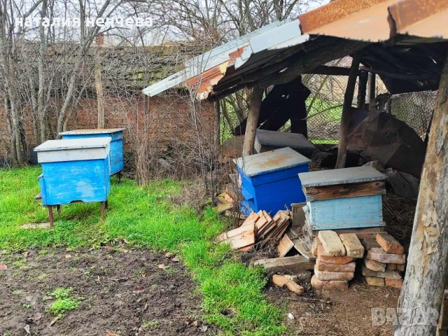 Продавам пчелно семейсво и инвентар 