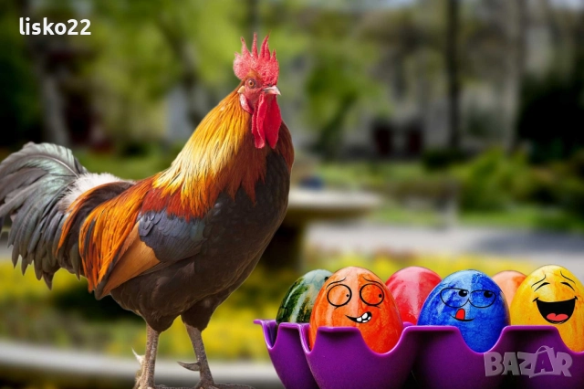 продавам петли