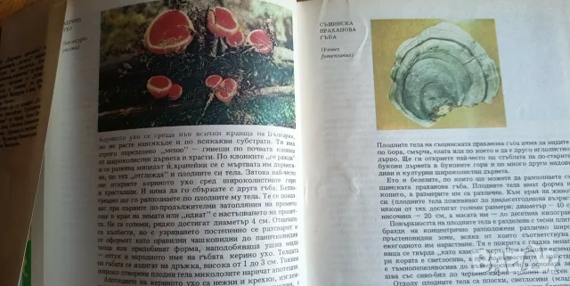 Атлас по ботаника + Наръчник по биология, снимка 4 - Учебници, учебни тетрадки - 56155785