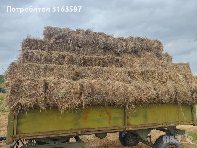 Бали сено и слама