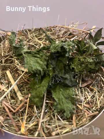Сено, снимка 3 - Декоративни зайчета - 53407731