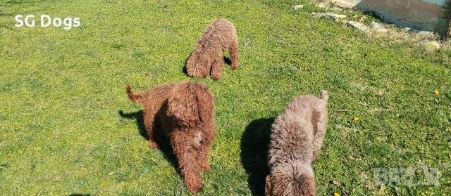 продавам лагото, снимка 3 - Други - 53779021