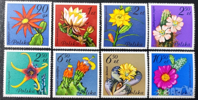 Полша, 1981 г., II лот - марки на тема паметници и цветя, снимка 2 - Филателия - 53434901