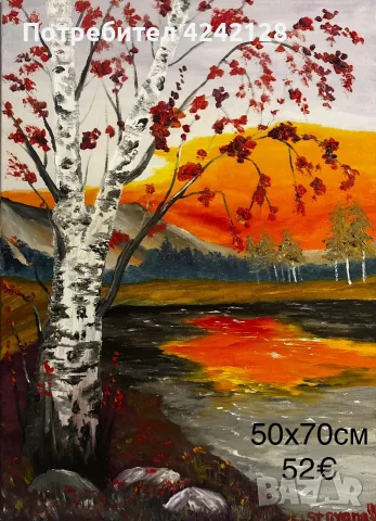 Картини с маслени бои, снимка 12 - Картини - 55898869
