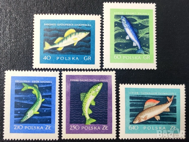 Полша, 1958 г. - лот марки на теми архитектура, риби, , снимка 3 - Филателия - 53458674