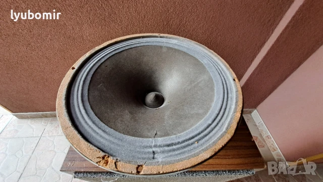 Алнико 10 инча.