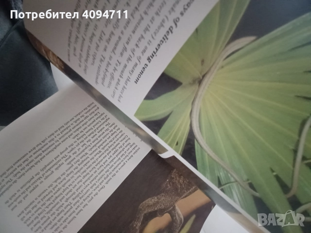 Life on Earth by David Attenborough, снимка 3 - Енциклопедии, справочници - 52489001