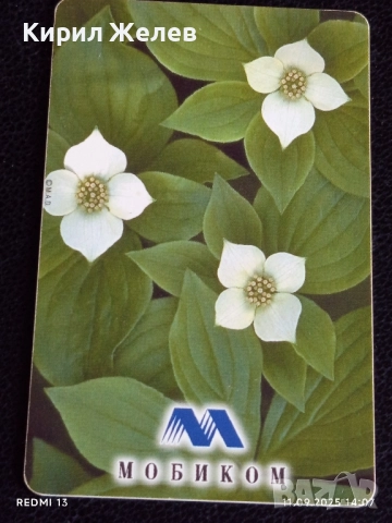 Две фонокарти МОБИКА, БЕТКОМ тема ЦВЕТЯ ОРХИДЕИ за КОЛЕКЦИЯ ДЕКОРАЦИЯ 38849, снимка 7 - Колекции - 51678577