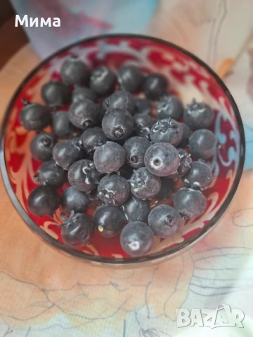 Изкуствени резенчета плодове, снимка 7 - Декорация за дома - 51359601