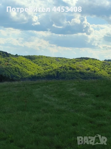 Продава ИМОТИ с.Плана