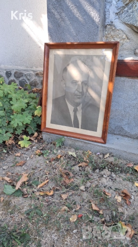 Портрет на Тодор Живков, снимка 1