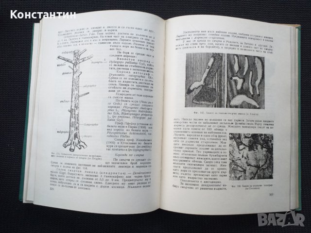 Лесо опазване, снимка 3 - Специализирана литература - 40732157