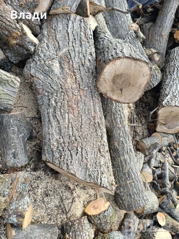 Орех-орехови трупи, снимка 5 - Дърводелски услуги - 53704493