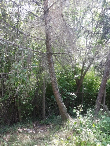 Продавам Имот с Вила на Кенана -Хасково, снимка 9 - Вили - 51552839