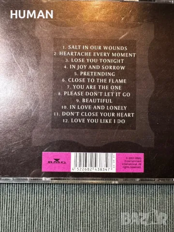  Bjork , снимка 5 - CD дискове - 48293993