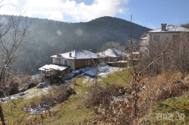 Продава парцел в с. Левочево, снимка 3 - Парцели - 49362061