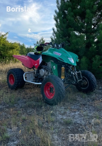 Атв DINLI QUADZILLA 450 Кубика Castrol Edition, снимка 2 - Мотоциклети и мототехника - 52916721