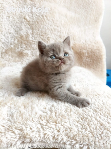 Уникален позарък за вашите любими