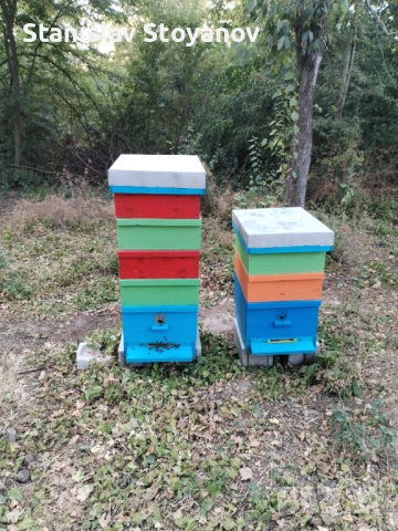 Пчелен мед, снимка 6 - Пчелни продукти - 52105328