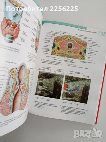 Атлас по човешка анатомия ( том-1) Глава,врат,горен крайник, снимка 2 - Енциклопедии, справочници - 52470968