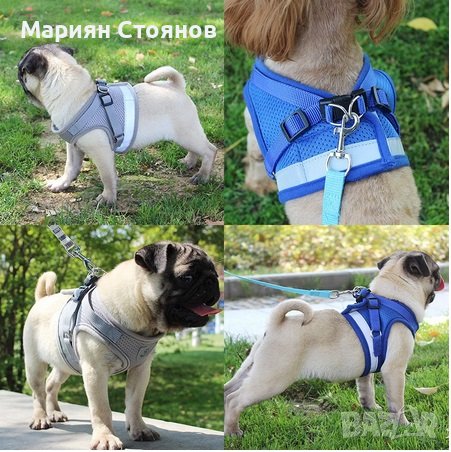 Нагръдник за куче с повод за малко куче котка жилетка каишка, снимка 3 - Други стоки за животни - 39120602