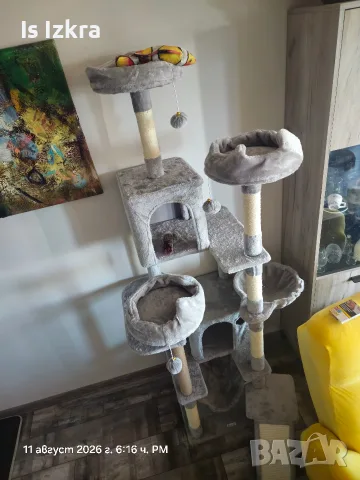 Катерушка за котки