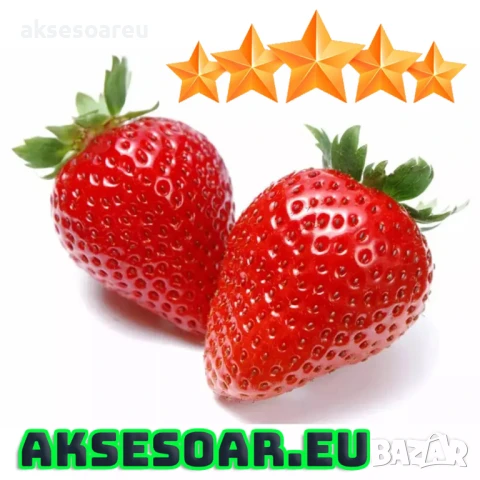 100 бр. ягодови семена от гигантска ягода градинско плодово растение сладки и вкусни червени ягоди, снимка 7 - Сортови семена и луковици - 50619114