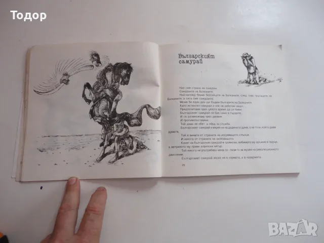 Книга Българският модел Стратиев , снимка 5 - Българска литература - 56241462