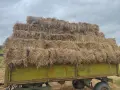 Бали сено и слама, снимка 1