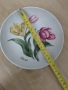 Порцеланови чинии за стена* Alka Kaiser* Лале* Ирис, снимка 2