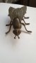 Голяма бронзова муха - пепелник-19см, снимка 2
