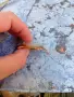 Швейцарски позлатен часовник Damas, снимка 3