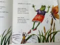 Хвърката жаба - Радослав Цветков - 1994г., снимка 3