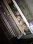 Продавам клетка за пъдпъдъци +пъдпъдъци , снимка 3