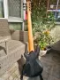 бас китара Spector NS Pulse II 6, снимка 2