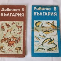Две стари карти на България - лов и риболов - БЛРС, снимка 1 - Антикварни и старинни предмети - 44254820