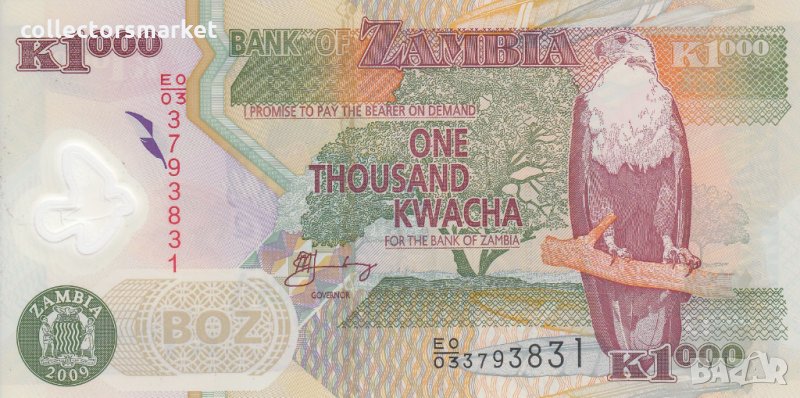 1000 квача 2009, Замбия, снимка 1