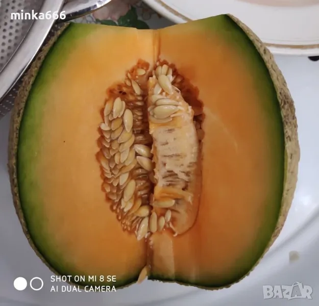 Семена за пъпеш Юбари, снимка 1