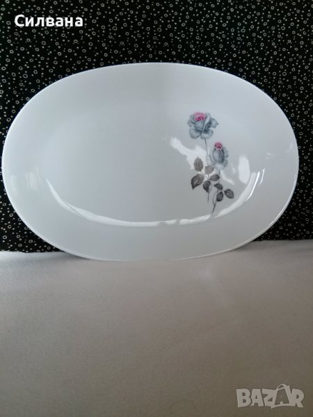 елипсовидна чиния, снимка 1