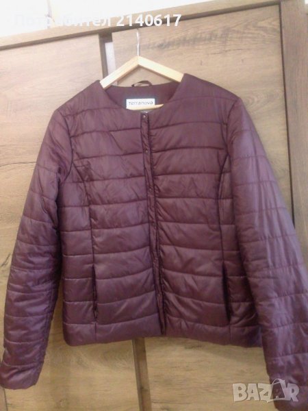  Преходно яке  Terranova  N:L, снимка 1