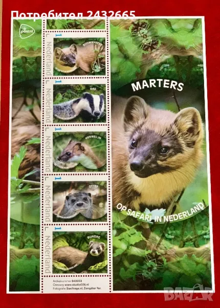2338. Нидерландия 2024 ~ “ Фауна. На сафари в Холандия : Дребни хищници.“, MNH, **, снимка 1
