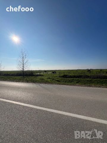 Продава се парцел в с.Житница, снимка 5 - Парцели - 52800724