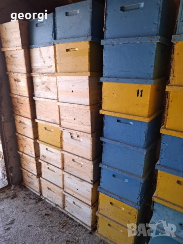 кошери Роже Делон