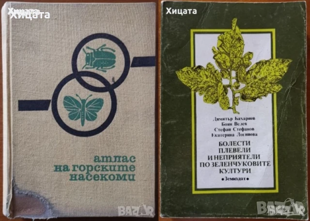 Атлас на горските насекоми;Физиология,генетика на растенията;Болести,плевели и неприятели;Земеделие, снимка 4 - Енциклопедии, справочници - 26220370