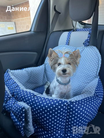 Столче за кола за куче 