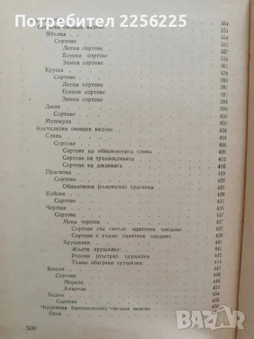 Овощарство 1959г, снимка 6 - Специализирана литература - 56270346