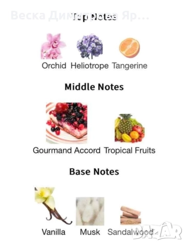 Дамски арабски парфюм Lattafa Yara for Women Eau de Parfum Spray 100 ml, снимка 14 - Дамски парфюми - 51690053